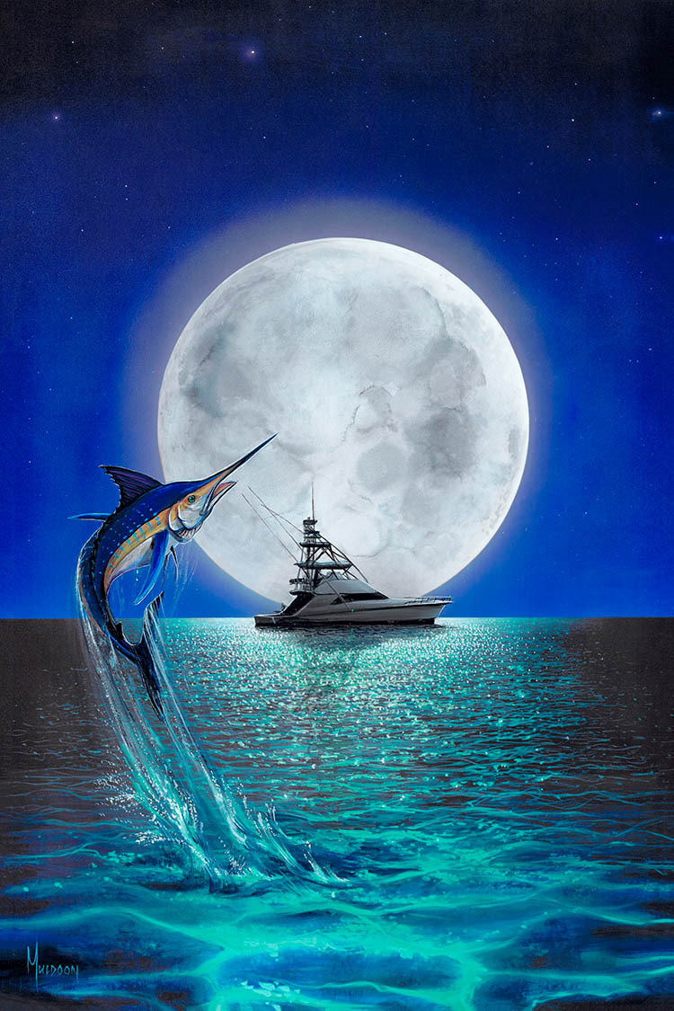 The Big Catch Stephen Muldoon